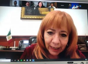 Reunión Comité Directivo de la FMOPDH con Presidenta de CNDH. Vicepresidencia Zona Norte.