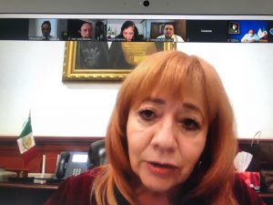 Reunión Comité Directivo de la FMOPDH con Presidenta de CNDH. Vicepresidencia Zona Norte.