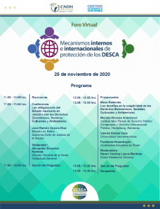 imagen Foro Virtual Mecanismos Internos e Internacionales DESCA
