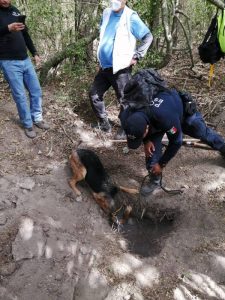 imagen La CODHET participó en coordinación con la Comisión Estatal de Búsqueda de Personas