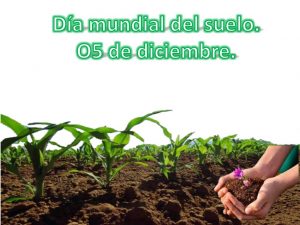 Día mundial del suelo. O5 de diciembre.