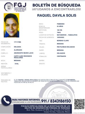 boletin11
