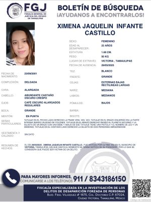 boletin12