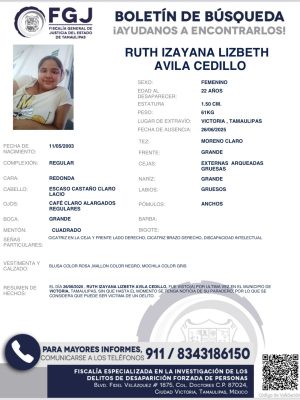 boletin17