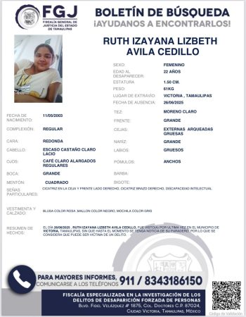 boletin17