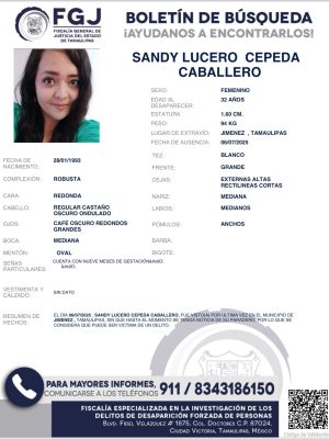 boletin19