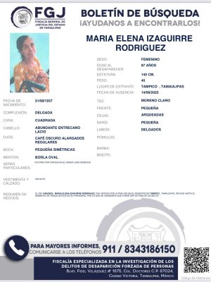 boletin29