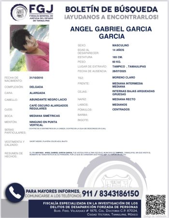 boletin31