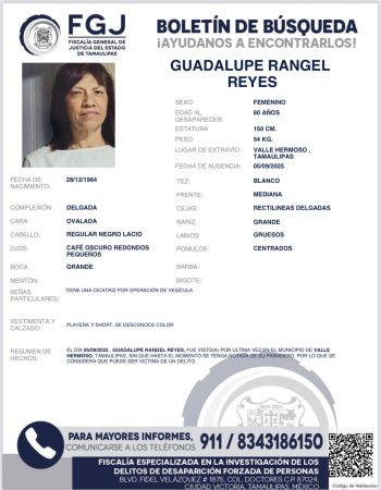 boletin53