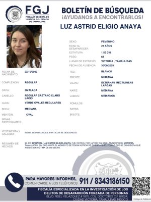 boletin62