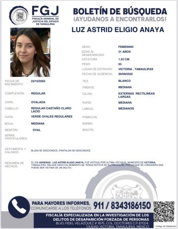 boletin62